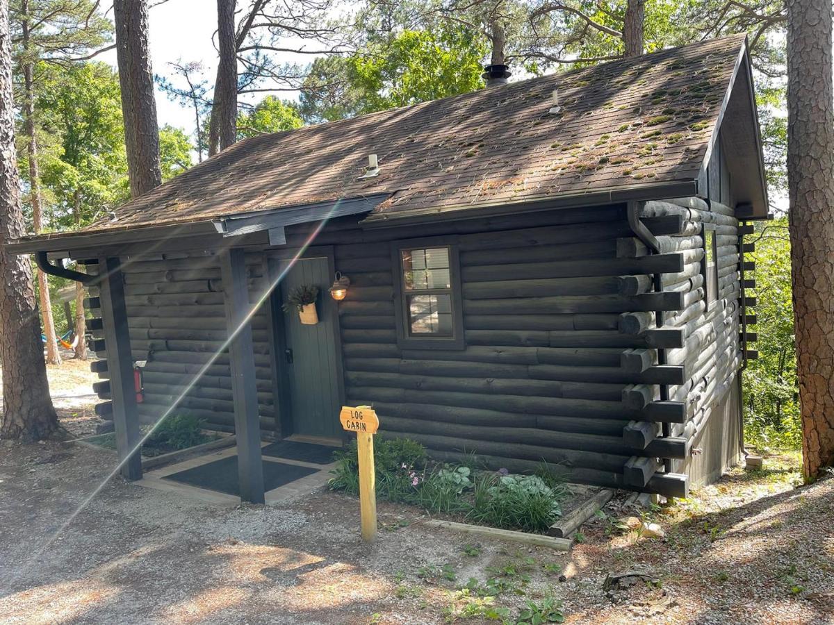 Loblolly Pines Adventure Log